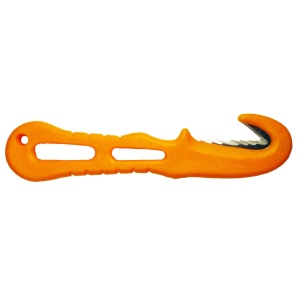 Bright Orange
